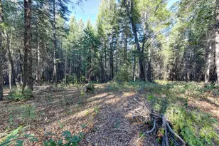 24825 Harrison St, Foresthill, CA 95631 - Photo 9