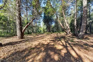 24825 Harrison St, Foresthill, CA 95631 - Photo 7
