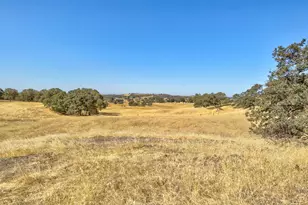 5065 Messing Rd, Burson, CA 95225 - Photo 91