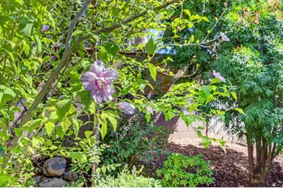 9845 Brierton Court, Elk Grove, CA 95757 - Photo 15