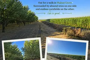 W Walnut Grove Rd, Thornton, CA 95686 - Photo 27