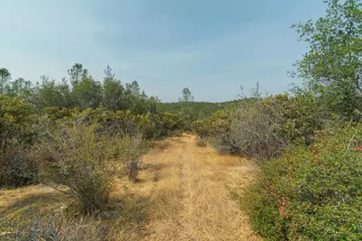 18527 Kentucky Ravine Road, Nevada City, CA 95959 - Photo 15
