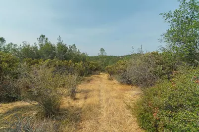 18527 Kentucky Ravine Road, Nevada City, CA 95959 - Photo 17