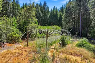 17975 Mobley Springs, Nevada City, CA 95959 - Photo 25