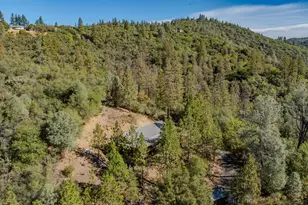 15545 Sutter Creek Rd, Sutter Creek, CA 95685 - Photo 11