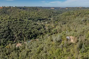 15545 Sutter Creek Rd, Sutter Creek, CA 95685 - Photo 15
