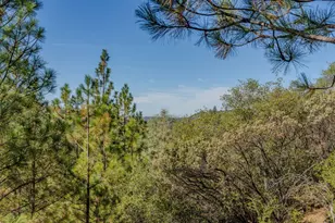 15545 Sutter Creek Rd, Sutter Creek, CA 95685 - Photo 75