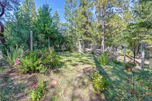6225 Green Ridge Dr, Foresthill, CA 95631 - Photo 39