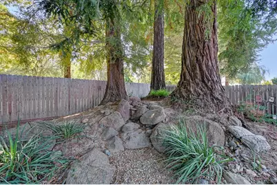 14 Ridgemark Court, Sacramento, CA 95831 - Photo 49