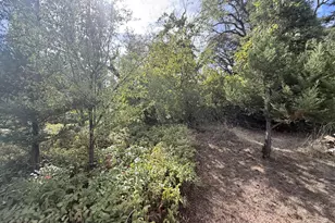 10165 Old Dobbins Rd, Dobbins, CA 95935 - Photo 37