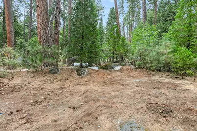 13584 Highway 50, Kyburz, CA 95720 - Photo 5