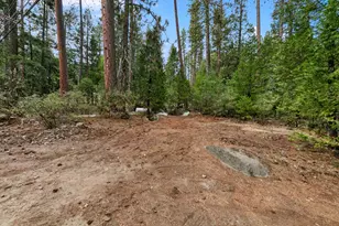 13584 Hwy 50, Kyburz, CA 95720 - Photo 23