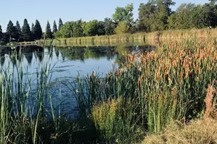 Lake Rd, West Sacramento, CA 95691 - Photo 37