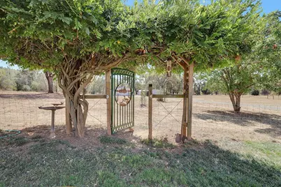 9844 Texas Hill Road, Oregon House, CA 95962 - Photo 61