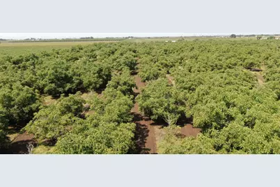 21797 N Devries Road, Lodi, CA 95242 - Photo 5