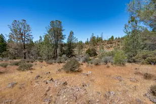 12141 Newtown Rd, Nevada City, CA 95959 - Photo 1