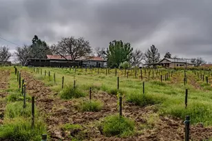 10801 Shenandoah Rd, Plymouth, CA 95669 - Photo 41