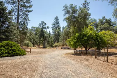 167 Darby Road, Bangor, CA 95914 - Photo 63