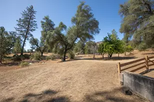 167 Darby Rd, Bangor, CA 95914 - Photo 65