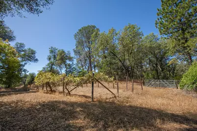 167 Darby Road, Bangor, CA 95914 - Photo 57