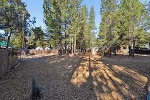 1142 Modoc Way, South Lake Tahoe, CA 96150 - Photo 89
