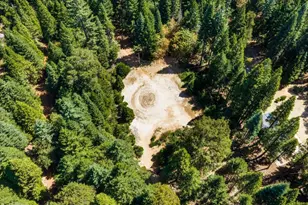 550 Caine Rd, Alta, CA 95701 - Photo 21