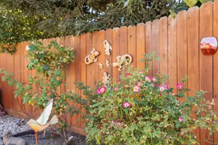 1246 Camilla Ct, Manteca, CA 95337 - Photo 29