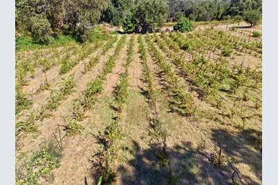 2402 Deer Valley Road, Rescue, CA 95672 - Photo 75