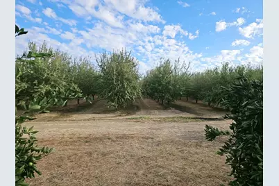 506 Young Avenue, Arbuckle, CA 95912 - Photo 43