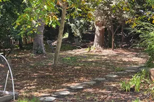 3213 Stanley Blvd, Lafayette, CA 94549 - Photo 5