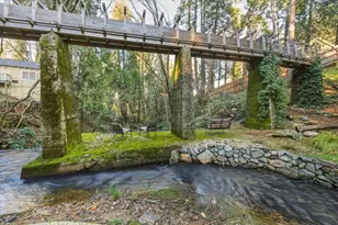 317 S Pine St, Nevada City, CA 95959 - Photo 45