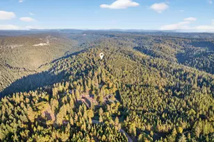 22080 Fiddletown Rd, Volcano, CA 95689 - Photo 81