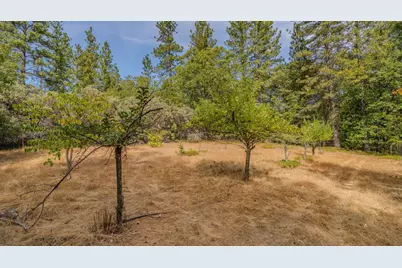 524 Ridge Road, Rail Road Flat, CA 95245 - Photo 7
