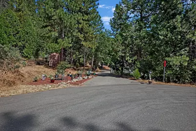 6295 Dolly Varden Lane, Pollock Pines, CA 95726 - Photo 3