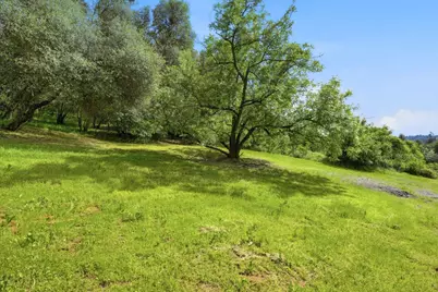 1730 Larelyn Lane, Shingle Springs, CA 95682 - Photo 55