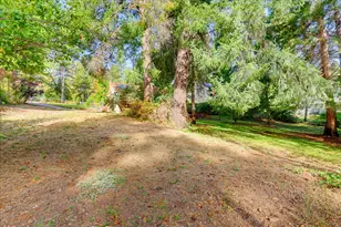353 Clay St, Nevada City, CA 95959 - Photo 85