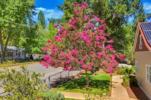 353 Clay St, Nevada City, CA 95959 - Photo 69
