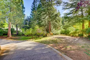 353 Clay St, Nevada City, CA 95959 - Photo 83