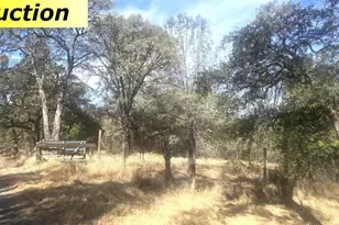 10486 To Hell and Back Ln, Rough and Ready, CA 95975 - Photo 59