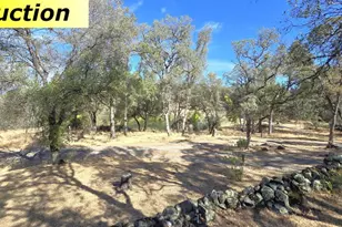 10486 To Hell and Back Ln, Rough and Ready, CA 95975 - Photo 47