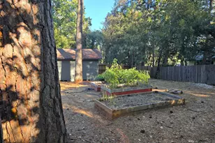 12283 Elizabeth Way, Grass Valley, CA 95949 - Photo 13