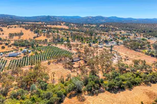 71 Webb Crk Cir, Bangor, CA 95914 - Photo 47