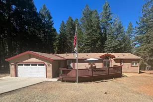 5557 Pine Ridge Dr, Grizzly Flats, CA 95636 - Photo 1