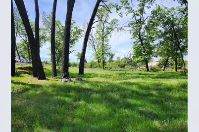 10006 Wendell Road, Mountain Ranch, CA 95246 - Photo 9