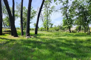 10006 Wendell Rd, Mountain Ranch, CA 95246 - Photo 9
