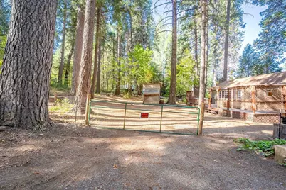 764 Alta Powerhouse Road, Alta, CA 95701 - Photo 41