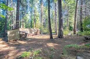 764 Alta Powerhouse Rd, Alta, CA 95701 - Photo 33
