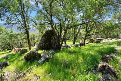 20229 Troost Trail, North San Juan, CA 95960 - Photo 31