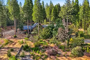 14496 Oak Ridge Rd, Nevada City, CA 95959 - Photo 55