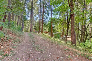 11980 N Bloomfield Rd, Nevada City, CA 95959 - Photo 59